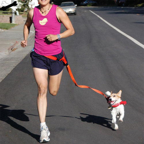 Attractive Traction Pulling Leash Pet Dog Running Jogging Convenient Safe Goods For Pets Harness Dog Accessories  Pet Carrier