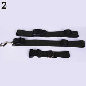 Attractive Traction Pulling Leash Pet Dog Running Jogging Convenient Safe Goods For Pets Harness Dog Accessories  Pet Carrier