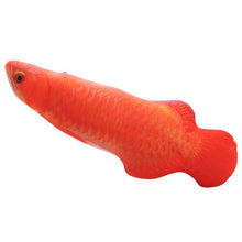 Load image into Gallery viewer, 30CM Electronic Pet Cat Toy Electric USB Charging Simulation Fish Toys for Dog Cat Chewing Playing Biting Supplies Dropshiping