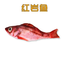 Load image into Gallery viewer, 30CM Electronic Pet Cat Toy Electric USB Charging Simulation Fish Toys for Dog Cat Chewing Playing Biting Supplies Dropshiping