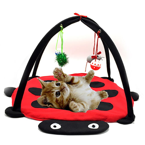 Funny Pet Cat Toys Portable Cat Tent Toys Mobile Activity Pets Play Bed Toys Cat Play Mat Blanket House Foldable Kitten Tents